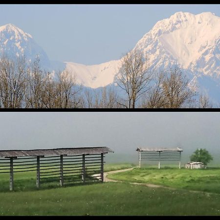 Mamut Stay Kamnik Dış mekan fotoğraf