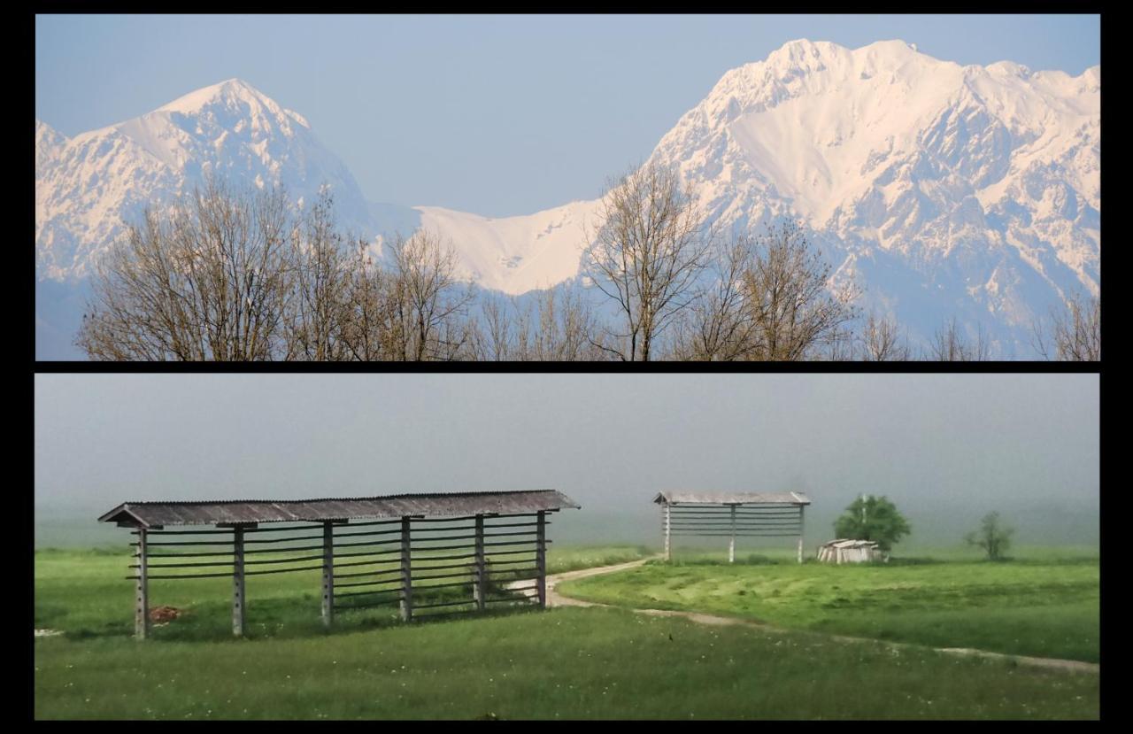 Mamut Stay Kamnik Dış mekan fotoğraf
